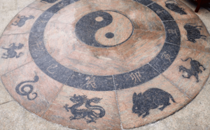 12 Shio Financial Forecast in the Year of the Wood Snake 2025