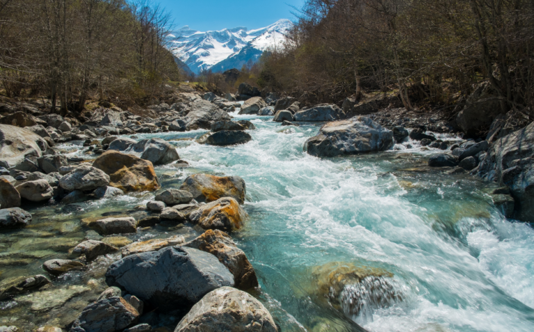 Uncovering 4 Characteristics of Rivers Containing Gold! Does your river have it?