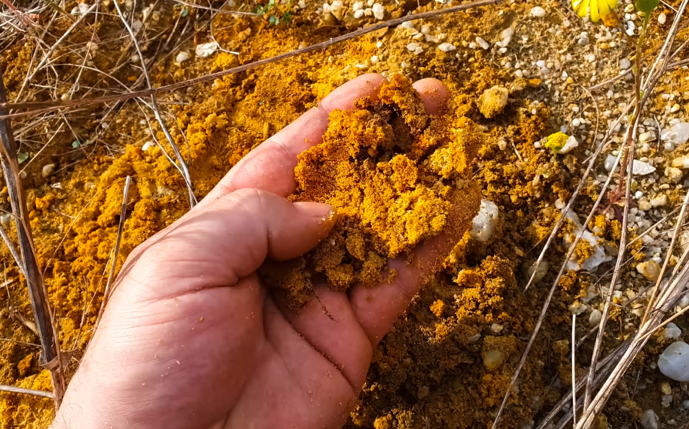 5 Characteristics of Soil that Contains Gold But Many Do Not Realize!