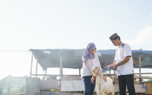 Nabung emas untuk kurban