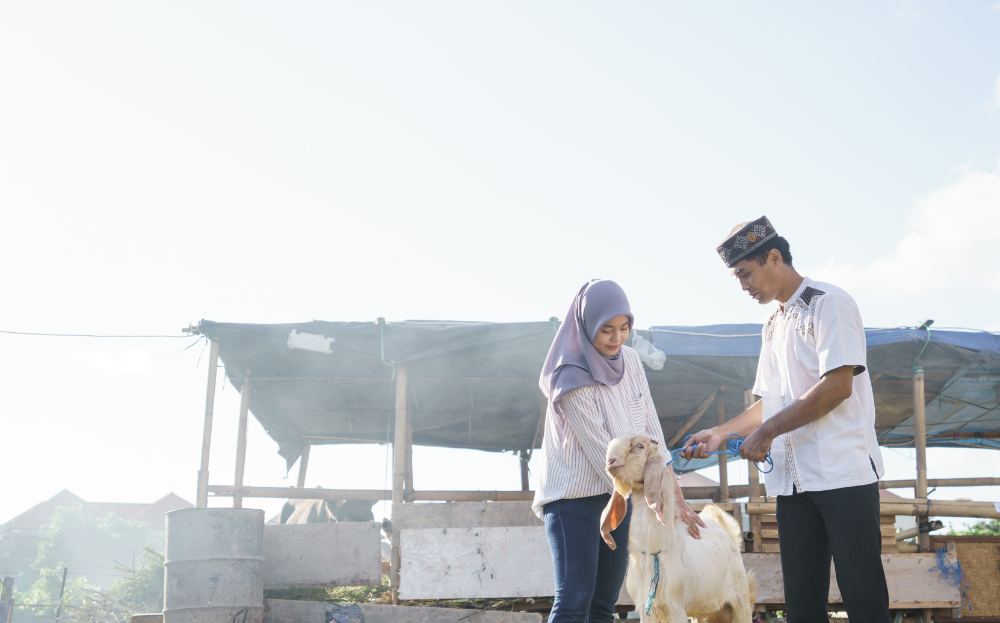 Nabung emas untuk kurban