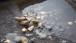 Digital Gold Investment, Sustainable Gold, Eco-Friendly Investment, Green Gold Program, Gold and Environmental Impact, Treasury